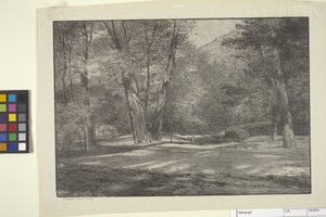 Sierra-bossen door Bolton Coit Brown