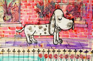 Hond
