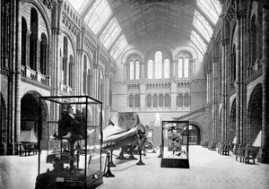 Inkomhal van het Natuurhistorisch Museum, South Kensington, Londen, 1890 door British Photographer