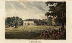 Kudde herten voor Trentham Hall door British School