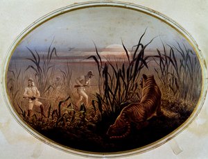 Tijgerjacht geleid door het Britse leger, Verenigd Koninkrijk
