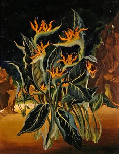 Vreemde bloemen door Bruce Hollingsworth