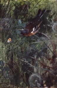 Vink door Bruno Andreas Liljefors