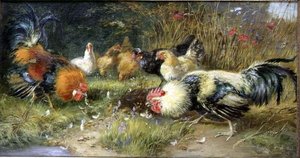 Gevogelte in een landschap