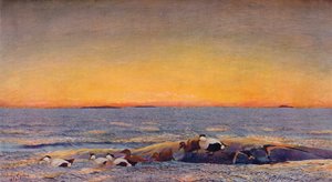 Zonsopgang, 1896