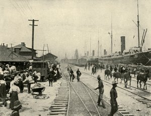 Vrijgelaten gevangenen, Spaans-Amerikaanse Oorlog, juni 1898, 1899 door Burr McIntosh