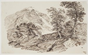 Berglandschap met bomen door C.F. von Rumohr