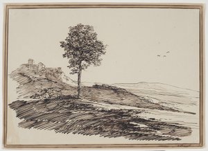 Berglandschap met bomen, op de achtergrond huizen