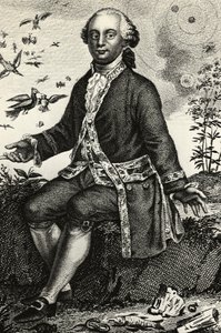 Portret van Georges-Louis Leclerc de Buffon (1707-1788), Franse natuurkundige en wiskundige, gravure door J.B. and Brown J. Rowbotham