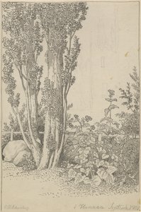Populieren en wilde planten bij Hannau door Christoffer Wilhelm Eckersberg
