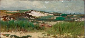 Nantucket zandduin door C. Morgan McIlhenney