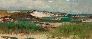 Nantucket Zandduin door C. Morgan McIlhenney