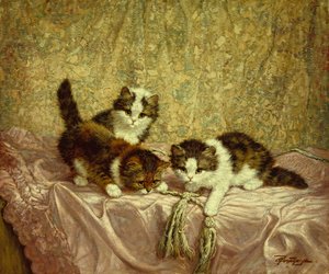 Speelse kittens (olieverf op doek)