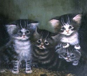 Vier Kittens