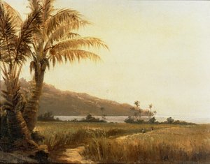 Kokospalmen aan zee, Saint Thomas, Antillen ... (schilderij op doek) door Camille Pissarro