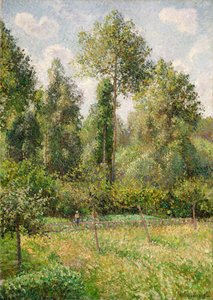 Populieren, Éragny, 1895 door Camille Jacob Pissarro