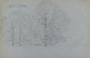 Studie van bomen, met een lichte studie van een schuit, 1859 door Camille Pissarro