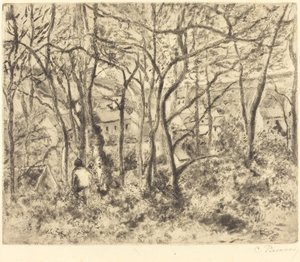 Boslandschap bij L