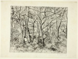 Bosgebied bij de Hermitage