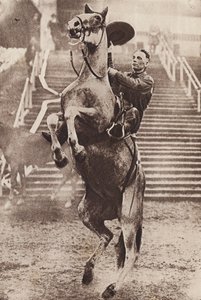 Cowboy beheerst steigerend paard (z/w foto)