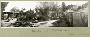 Tuin van Gethsemane, 14 december 1917 door Capt. Arthur Rhodes