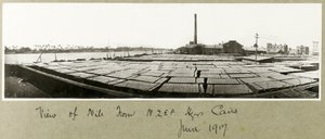 Uitzicht op de Nijl vanaf het N.Z.M.F.A. hoofdkwartier, Caïro, juni 1917 door Capt. Arthur Rhodes