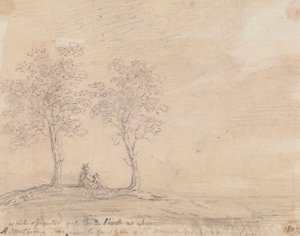 Een moerbeiboom nabij de grote poort van het klooster van St. Augustine door Capt. Thomas Hastings