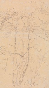Schets van Bomen, Shorwell, Isle of Wight door Capt. Thomas Hastings