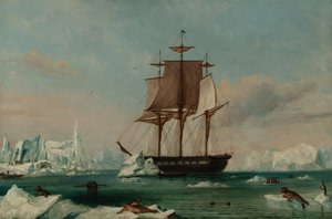 USS Vincennes in de Teleurstellingsbaai (olieverf op doek) door Captain Charles (attributed to) Wilkes