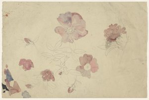 Bloemenstudies in paars en roze door Carel Adolph Lion Cachet