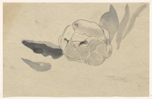 Bloemstudie door Carel Adolph Lion Cachet
