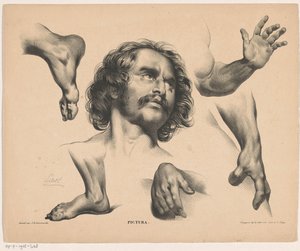 Hoofd van een man, voeten, handen en armen door Carel Christiaan Antony Last