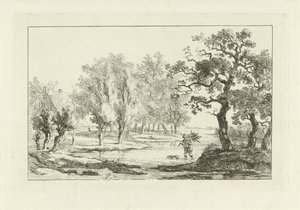 Rivierlandschap met een houtsprokkelaar