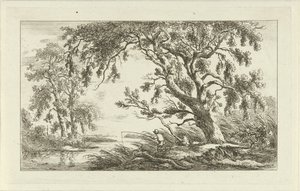 Visser in een rivierlandschap