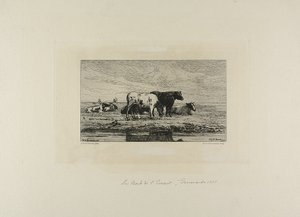 De bank van Escaut door Carel Nicholaas Storm van Gravesunde