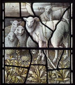De Herderskerk, Herderij, Schapen door Carl Almquist