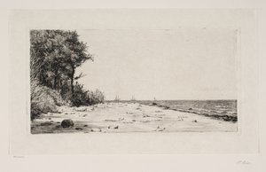 Van de noordkust van Seeland. Hornbækplantage