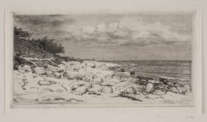 Stenet Strandbred