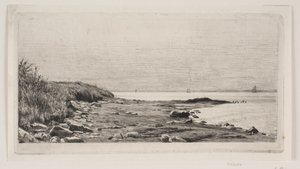 Strandpartij. Zonneschijn in de zee