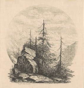 Pijnbomen