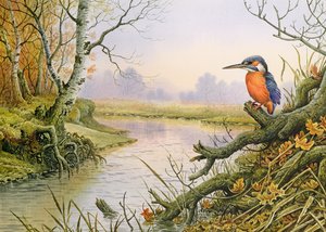 IJsvogel: Herfst Rivierlandschap
