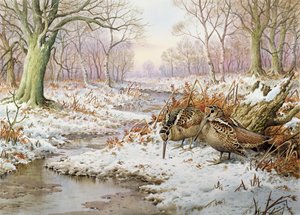 Houtsnip door Carl Donner