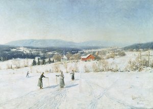 Landschap met skiërs