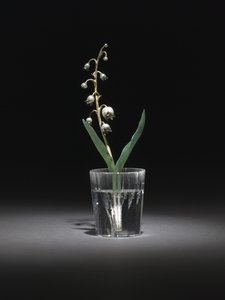 Lelietje-van-dalen