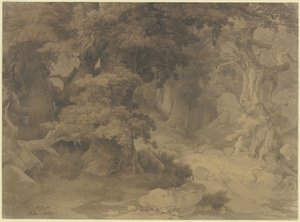  door Carl Friedrich Lessing