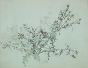 Studie van een bloeiende distel, 1846 door Carl Georg Anton Graeb