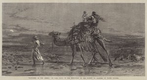 Geluk in de Woestijn door Carl Haag