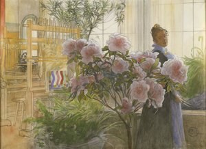 Azalea
