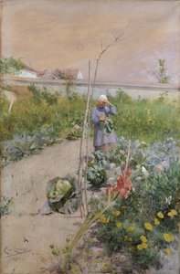  door Carl Larsson