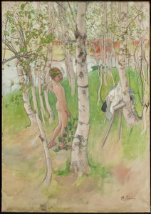  door Carl Larsson